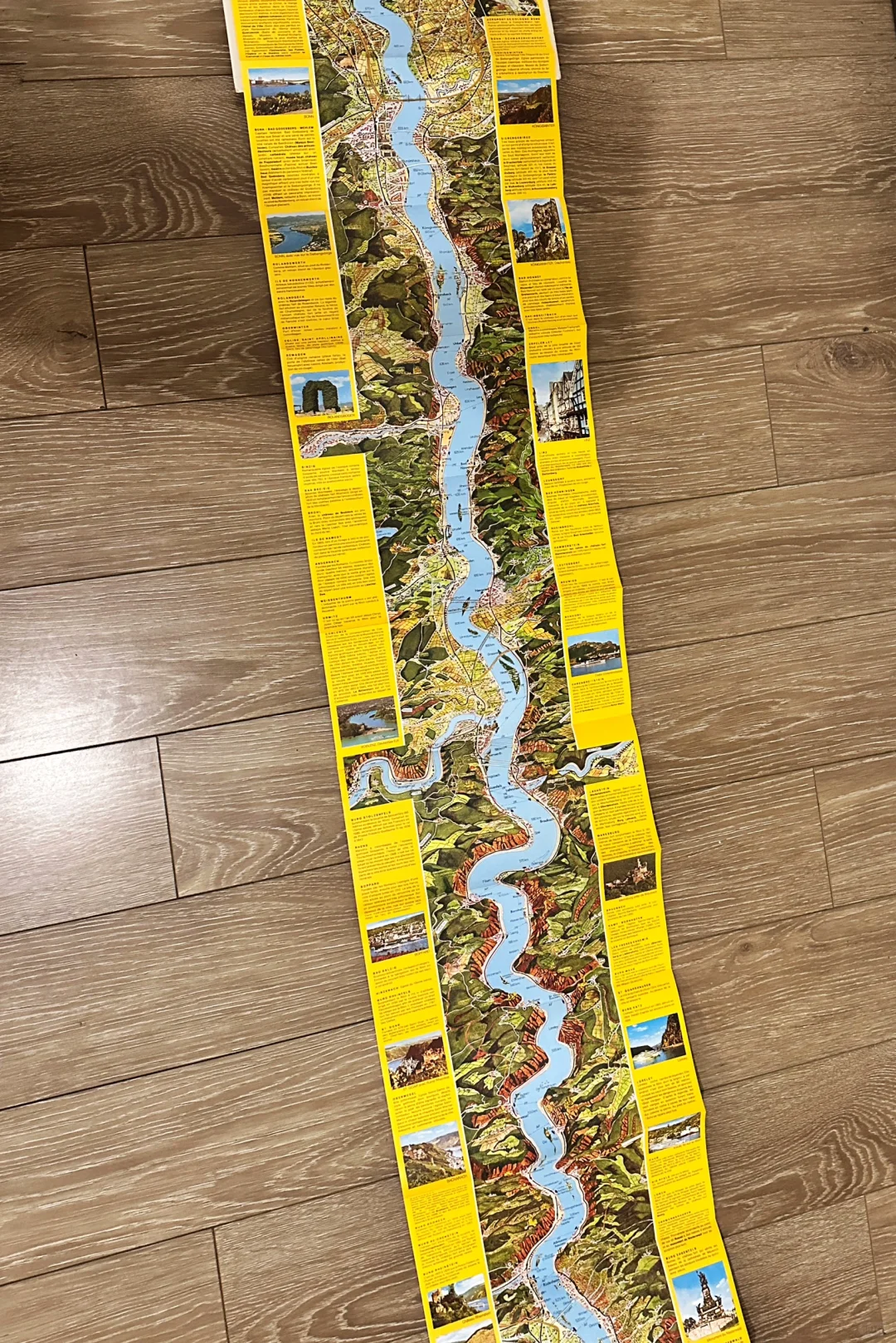 读图笔记：世界遗产莱茵河谷