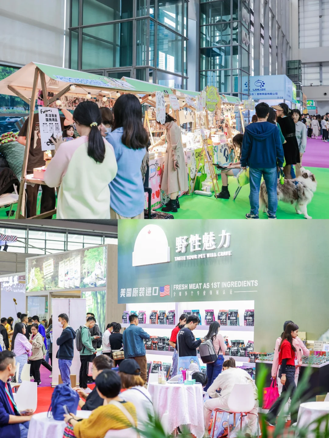 疯了疯了！13届深宠展来了！不去后悔一整年