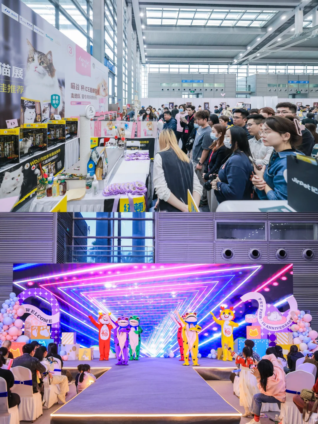 疯了疯了！13届深宠展来了！不去后悔一整年