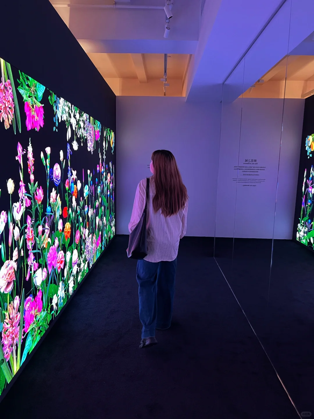 深圳新展｜免费?！！超级出片！（附机位