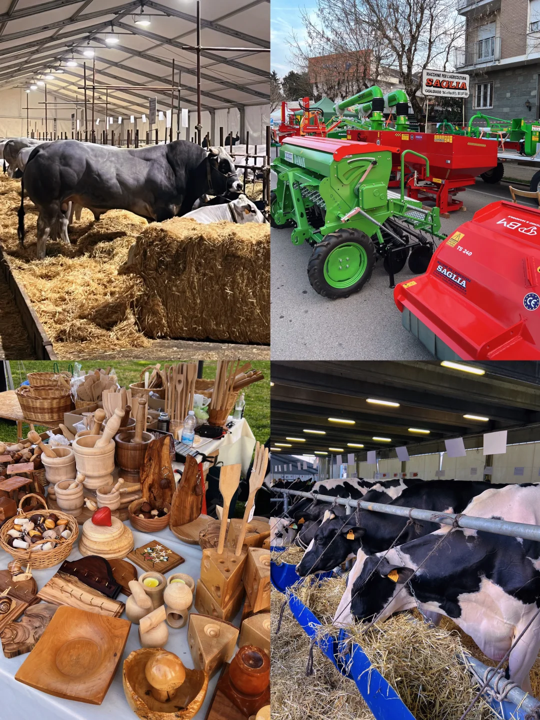 卡尔马尼奥拉??第561届春季博览会?(一)