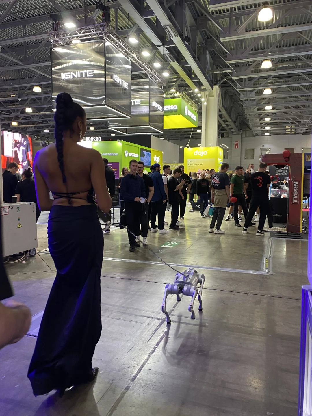 莫斯科电子盐展会～