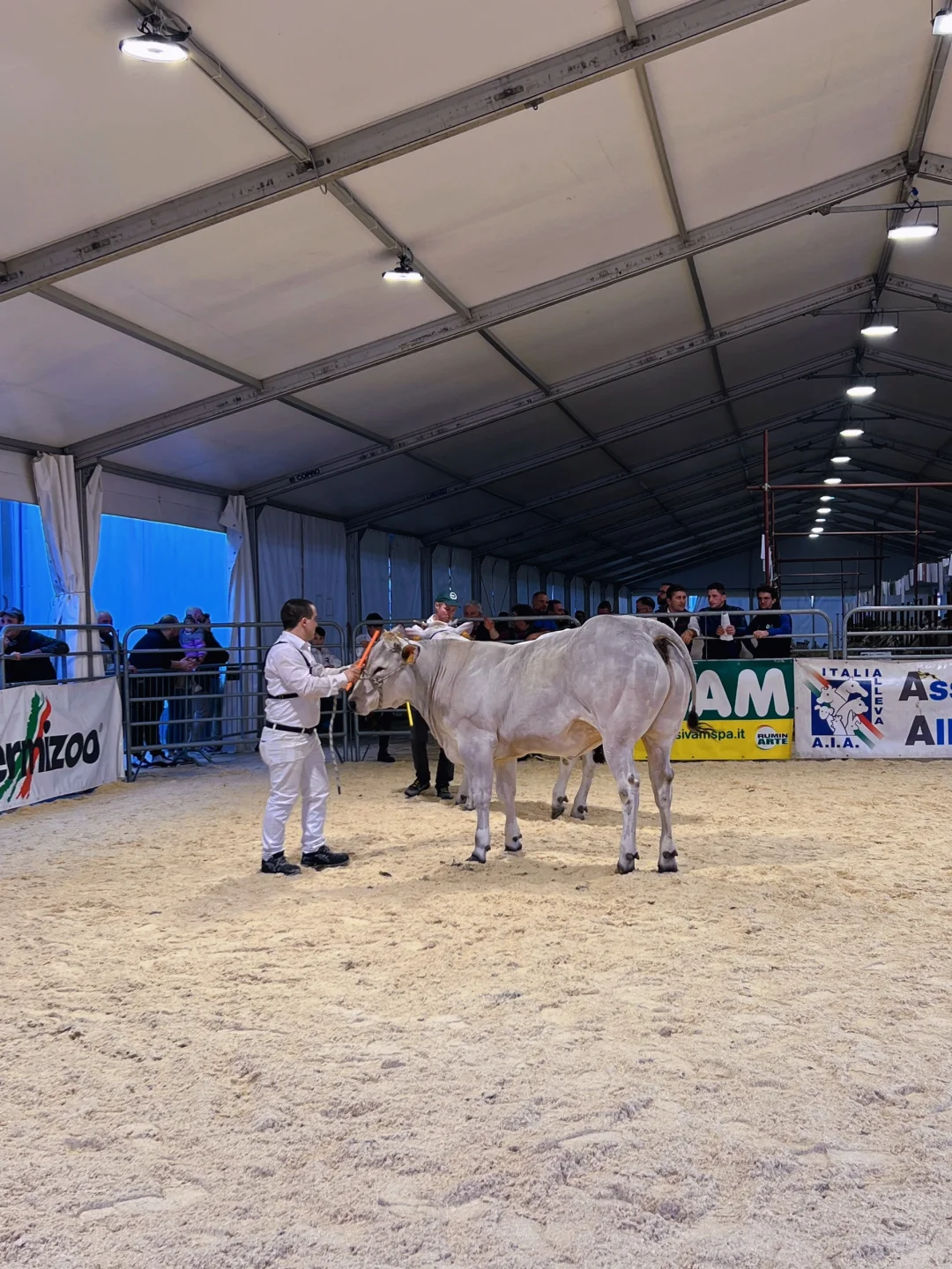 卡尔马尼奥拉??第561届春季博览会?(二)