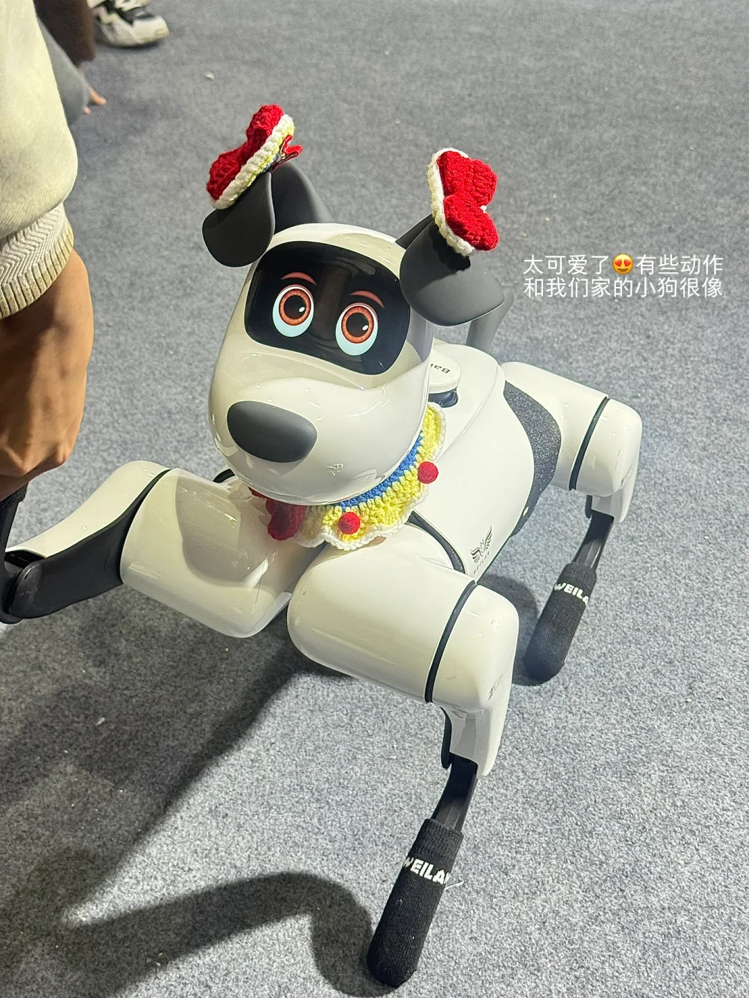 博士生学姐｜来逛Ai 机器人会展了??✨