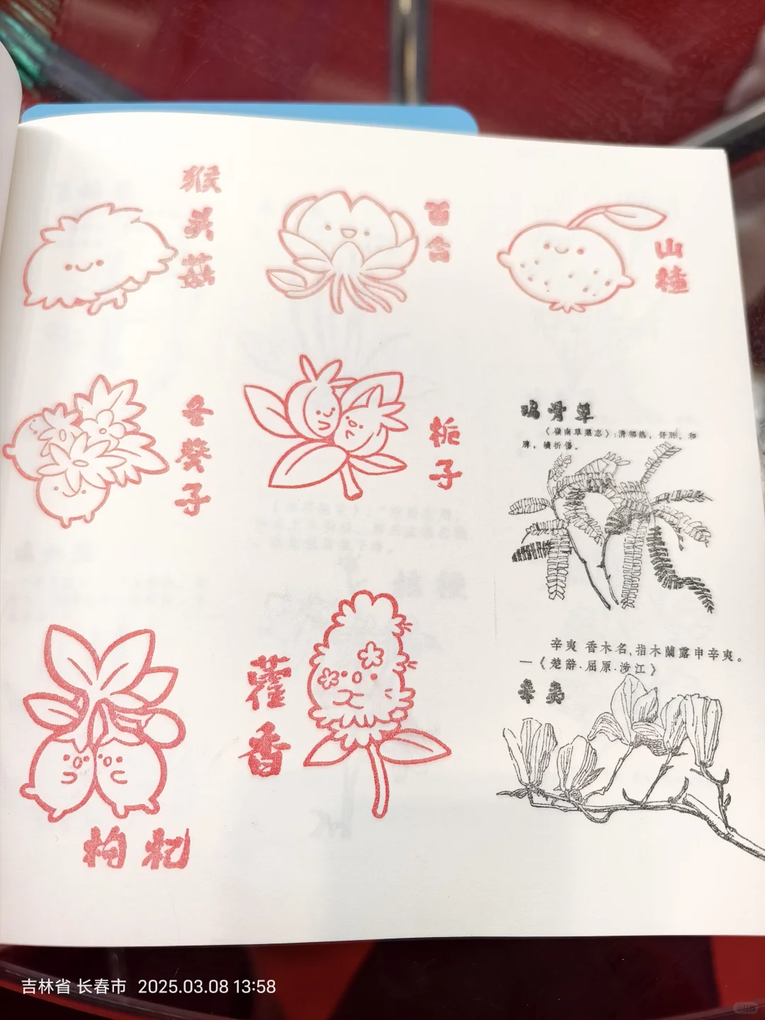 长春免费盖章！！！快冲