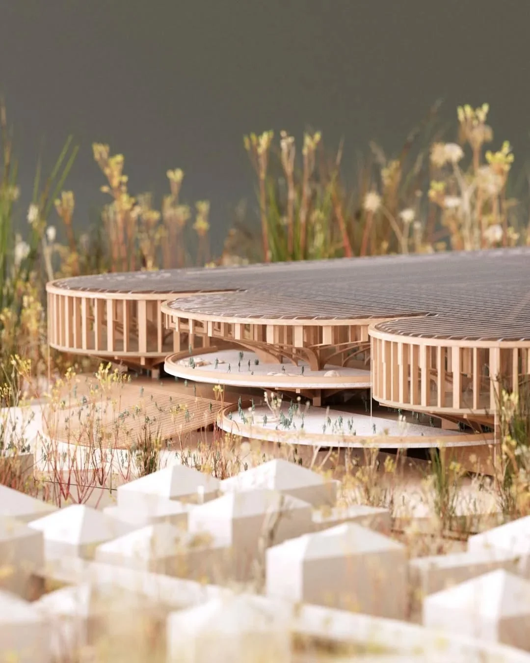 木梁交错展巧思，圆环会展藏新意