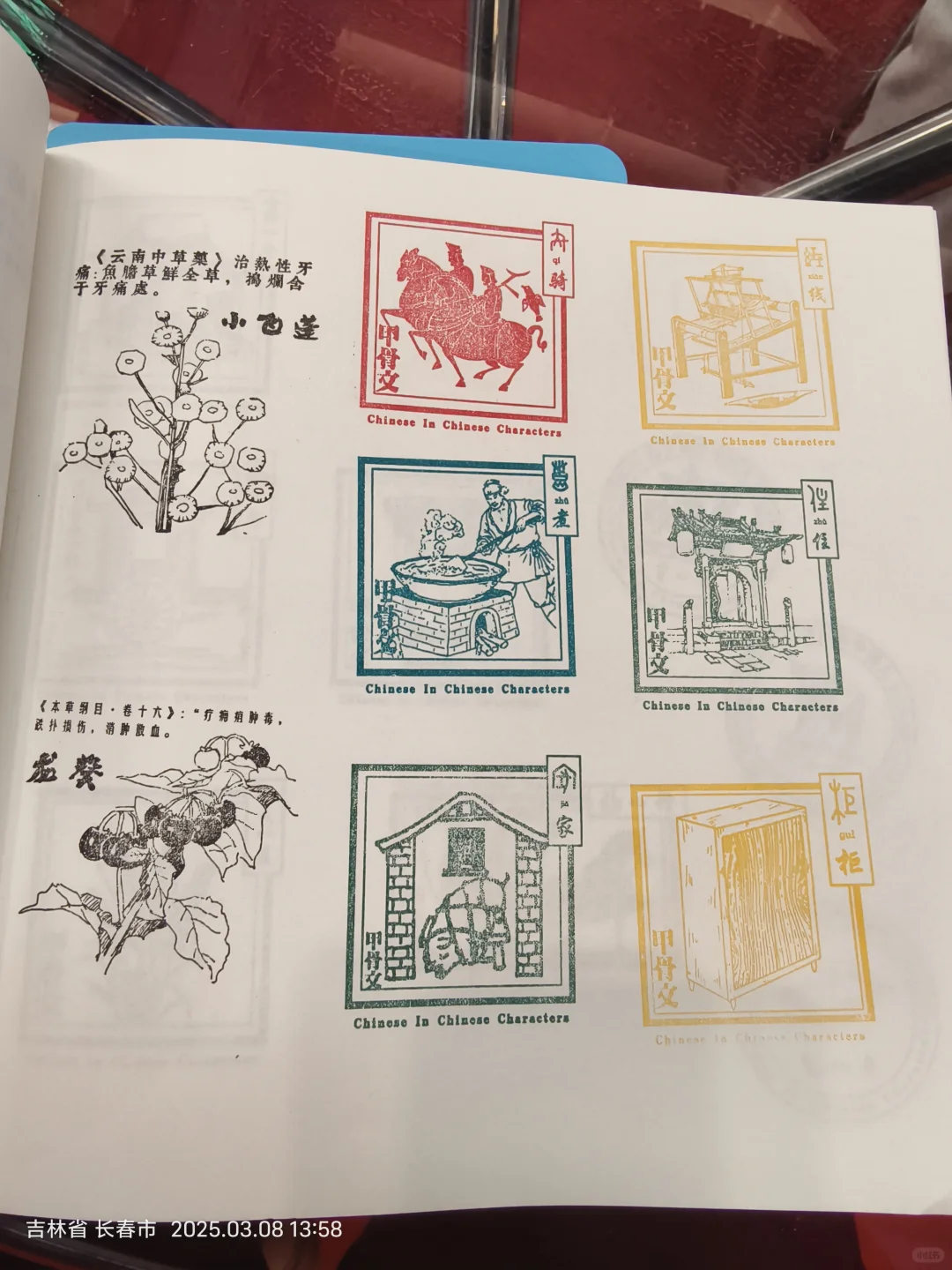 长春免费盖章！！！快冲