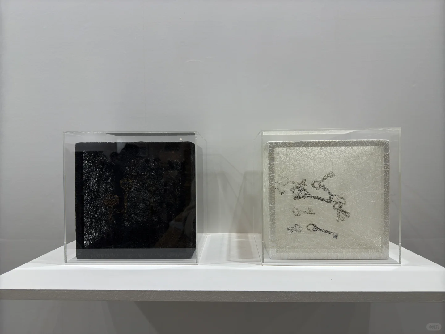 忙里偷闲的看展｜2025 东京艺术博览会