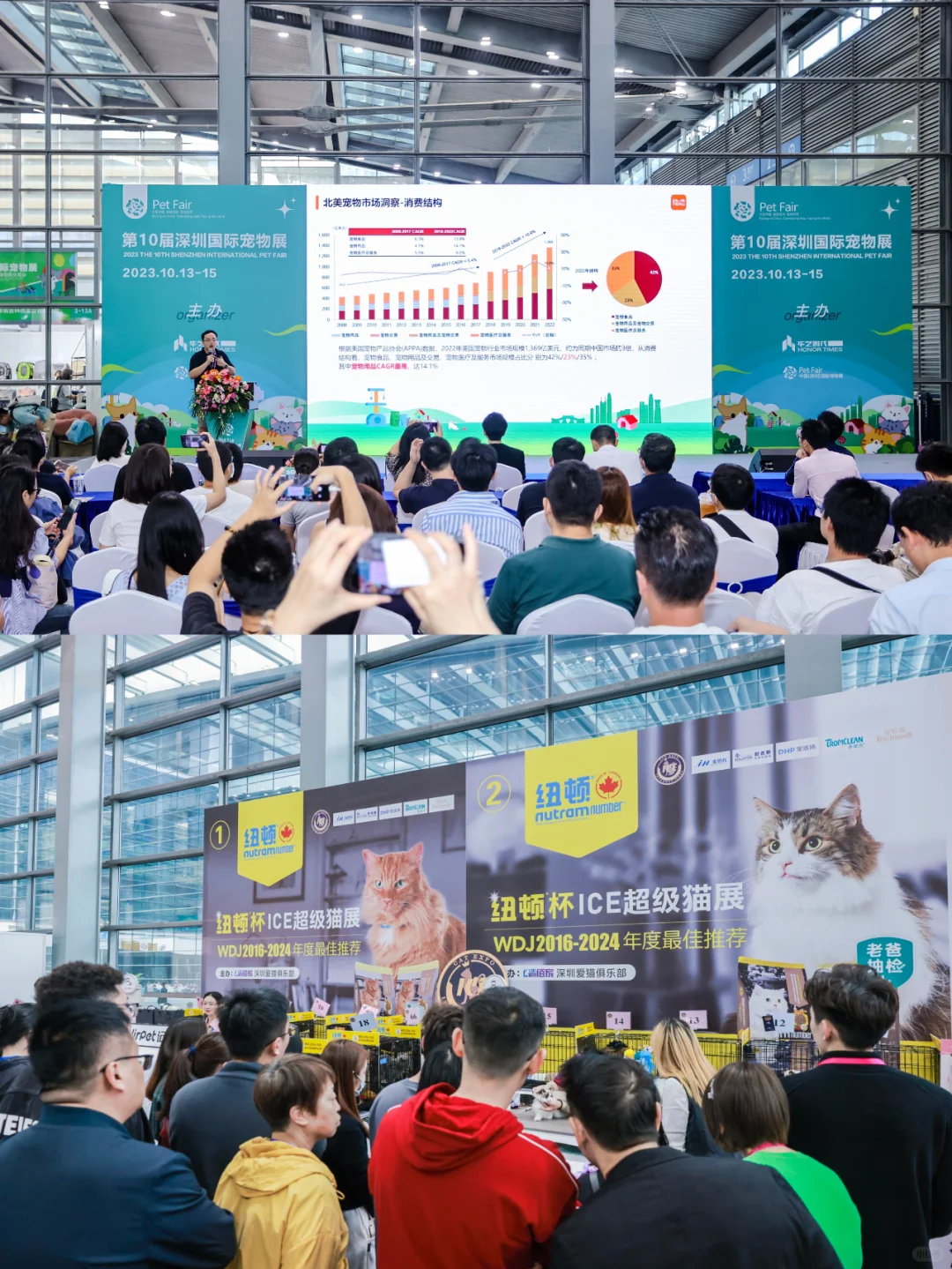 疯了疯了！13届深宠展来了！不去后悔一整年