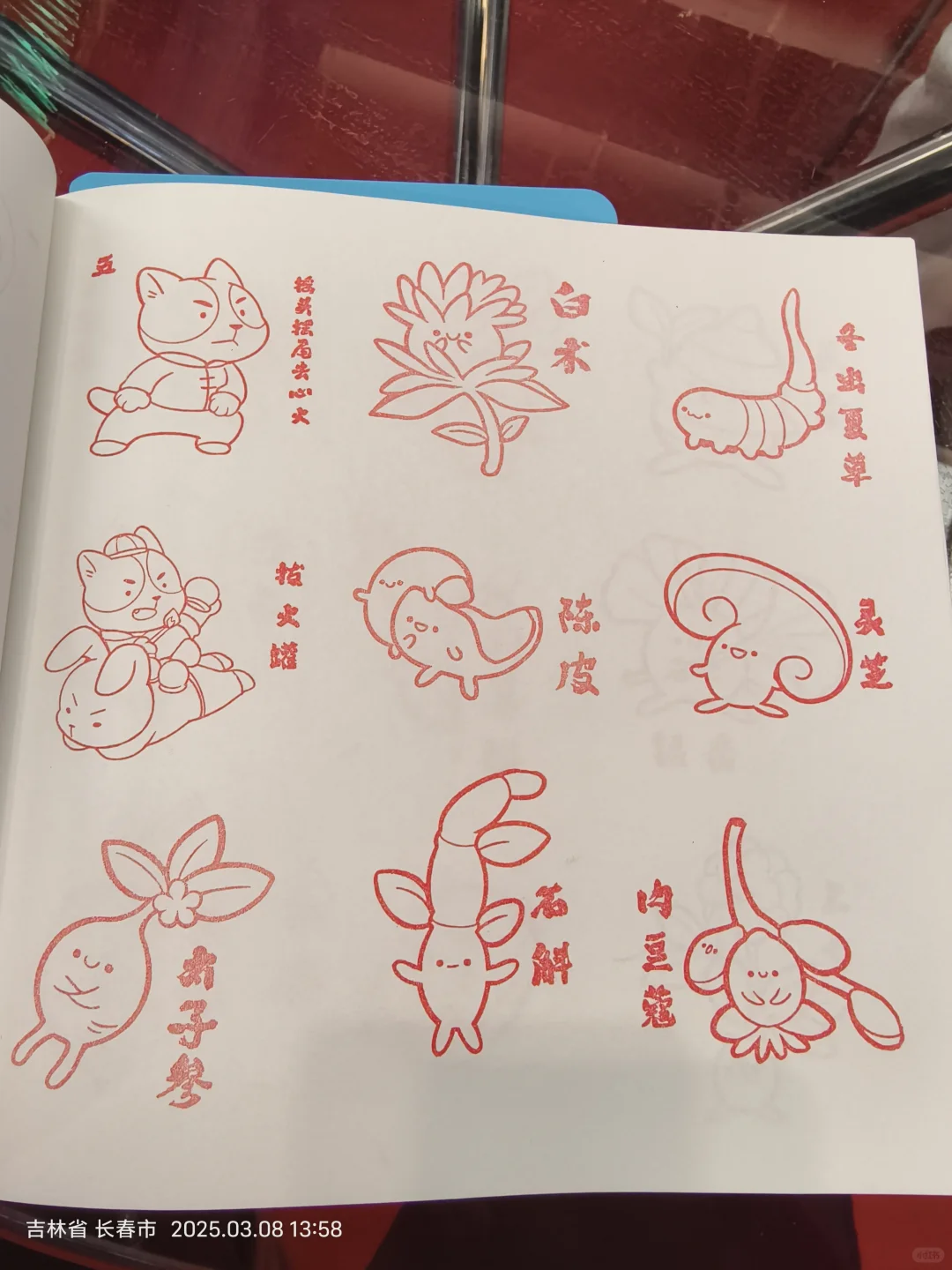 长春免费盖章！！！快冲