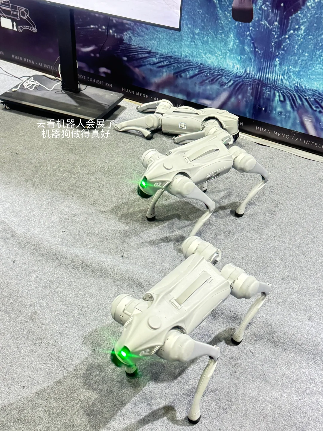 博士生学姐｜来逛Ai 机器人会展了??✨