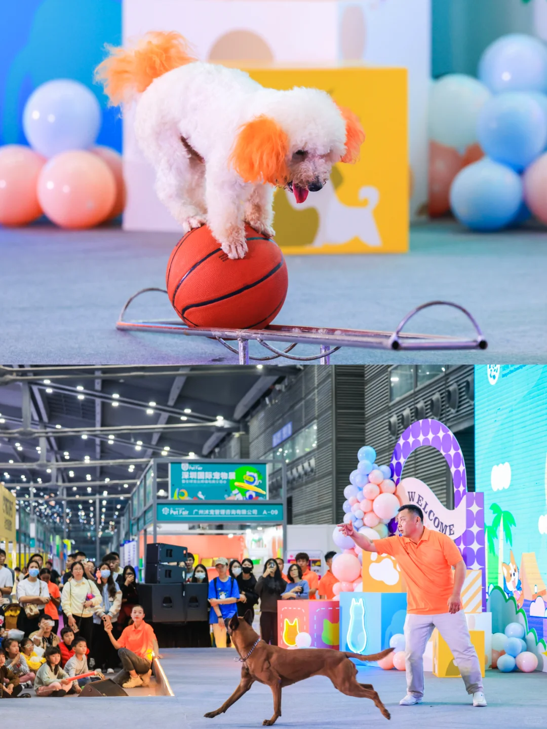 疯了疯了！13届深宠展来了！不去后悔一整年