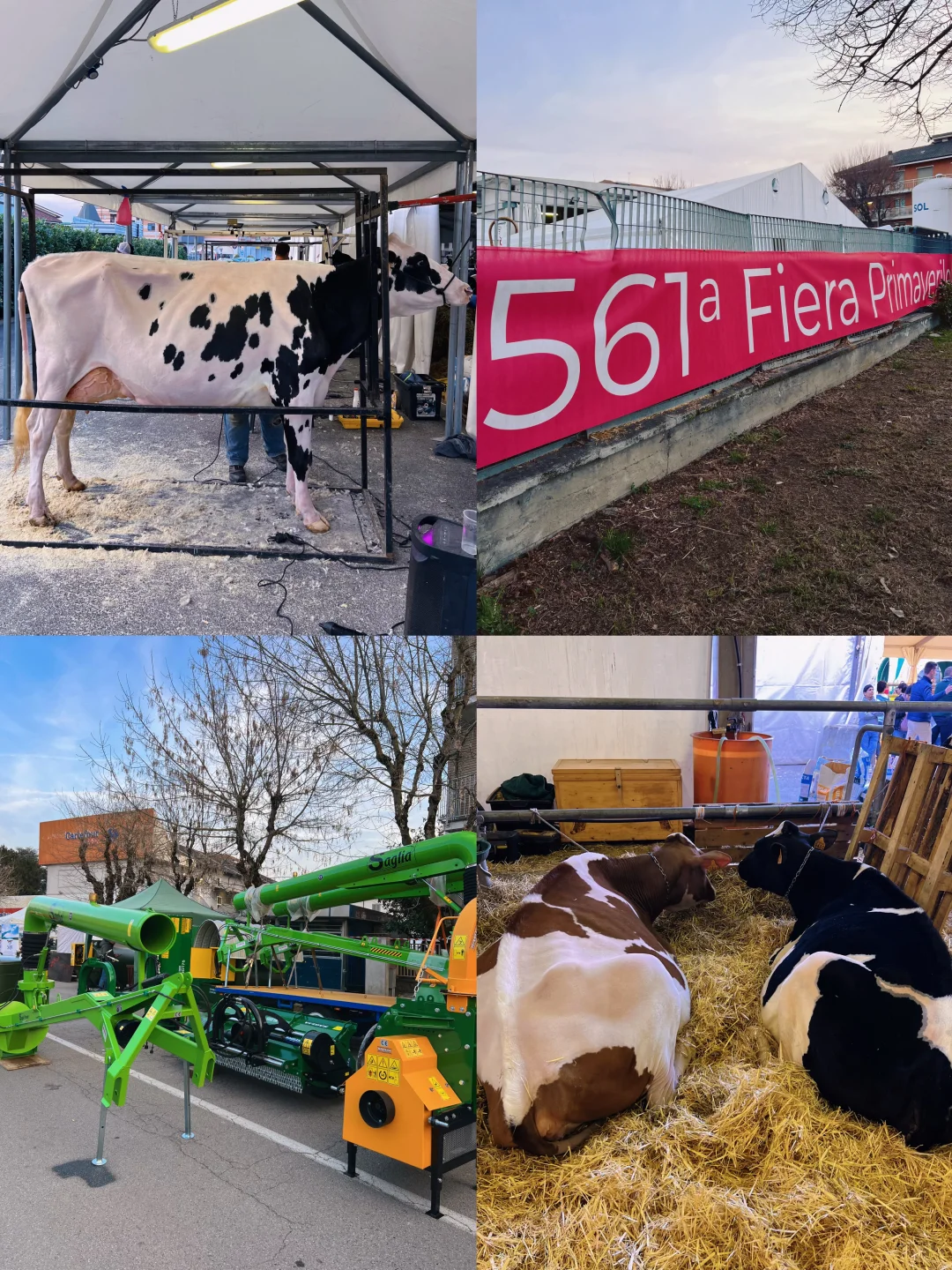 卡尔马尼奥拉??第561届春季博览会?(二)