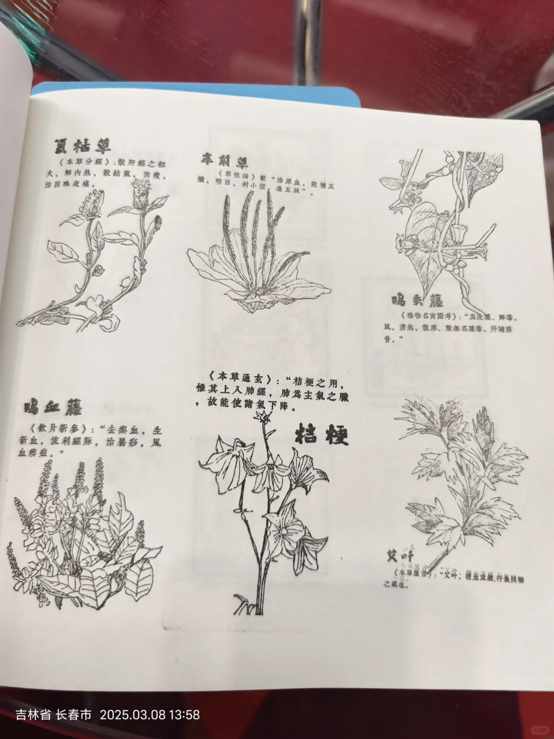 长春免费盖章！！！快冲