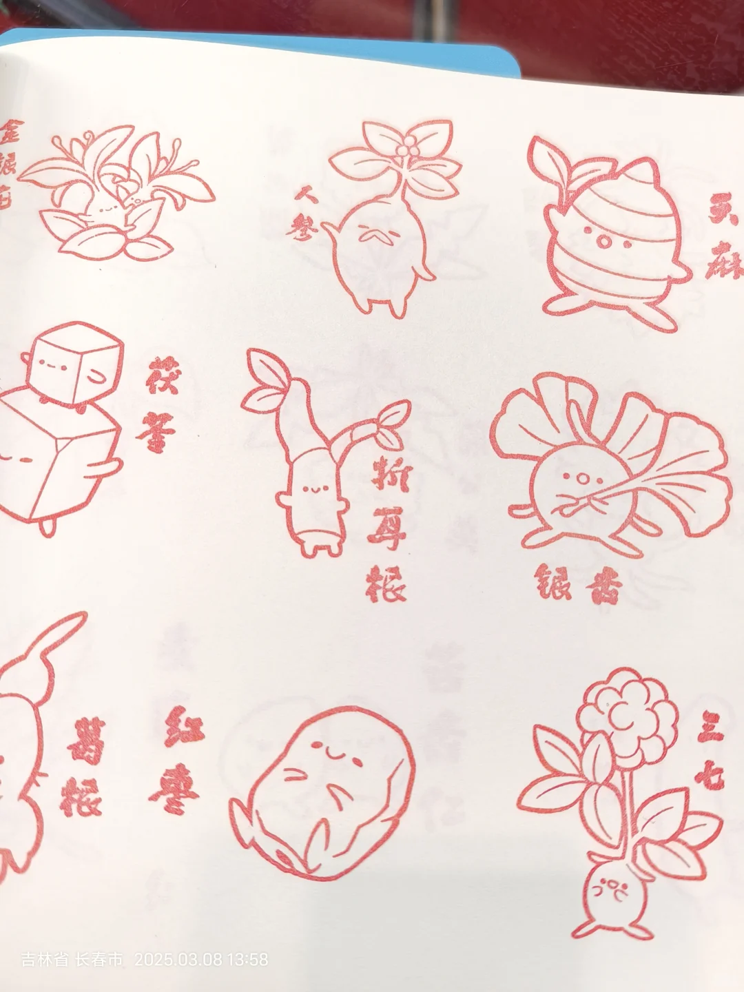 长春免费盖章！！！快冲