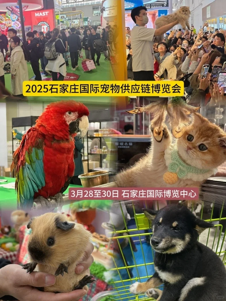2025石家庄国际宠物供应链博览会