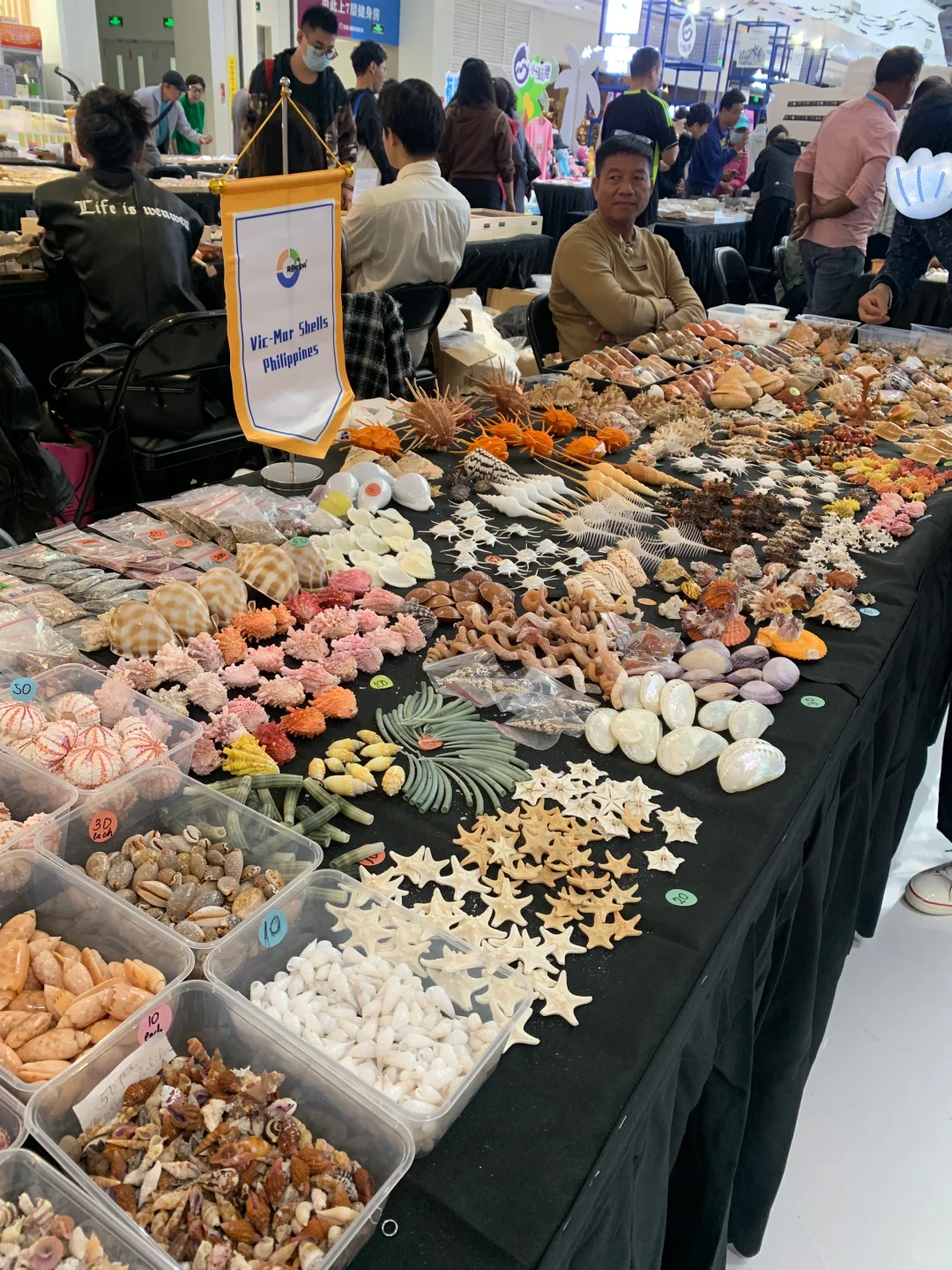 三月郑州贝壳展，看什么，玩什么？