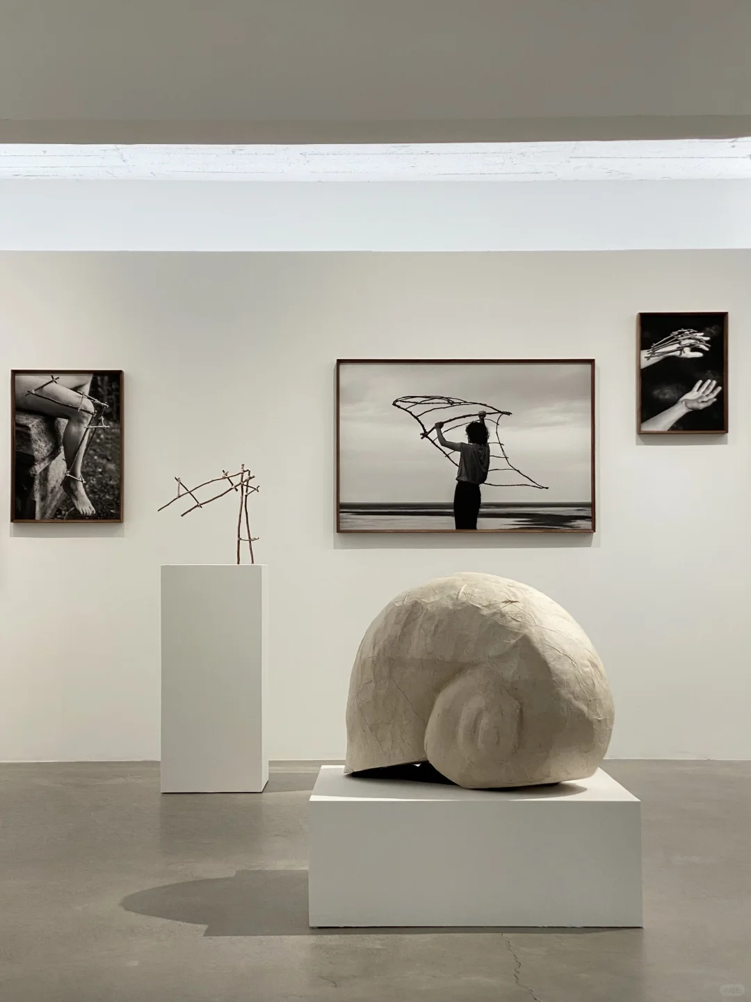 看摄影展洗眼睛