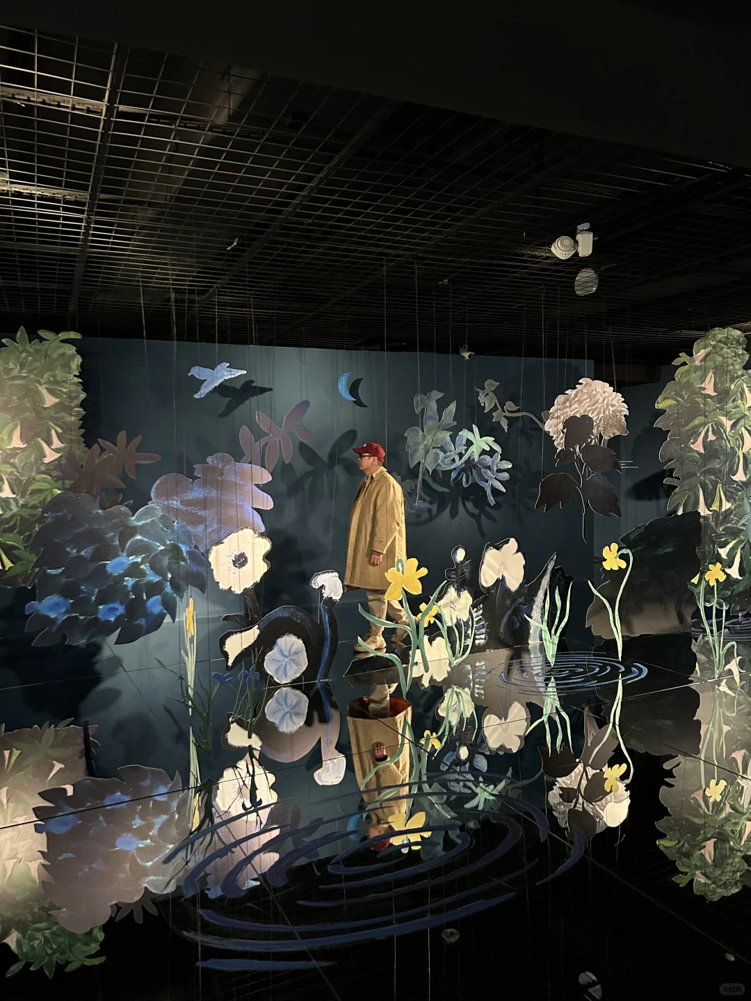 艺术是个神奇的东西，新展超好看！