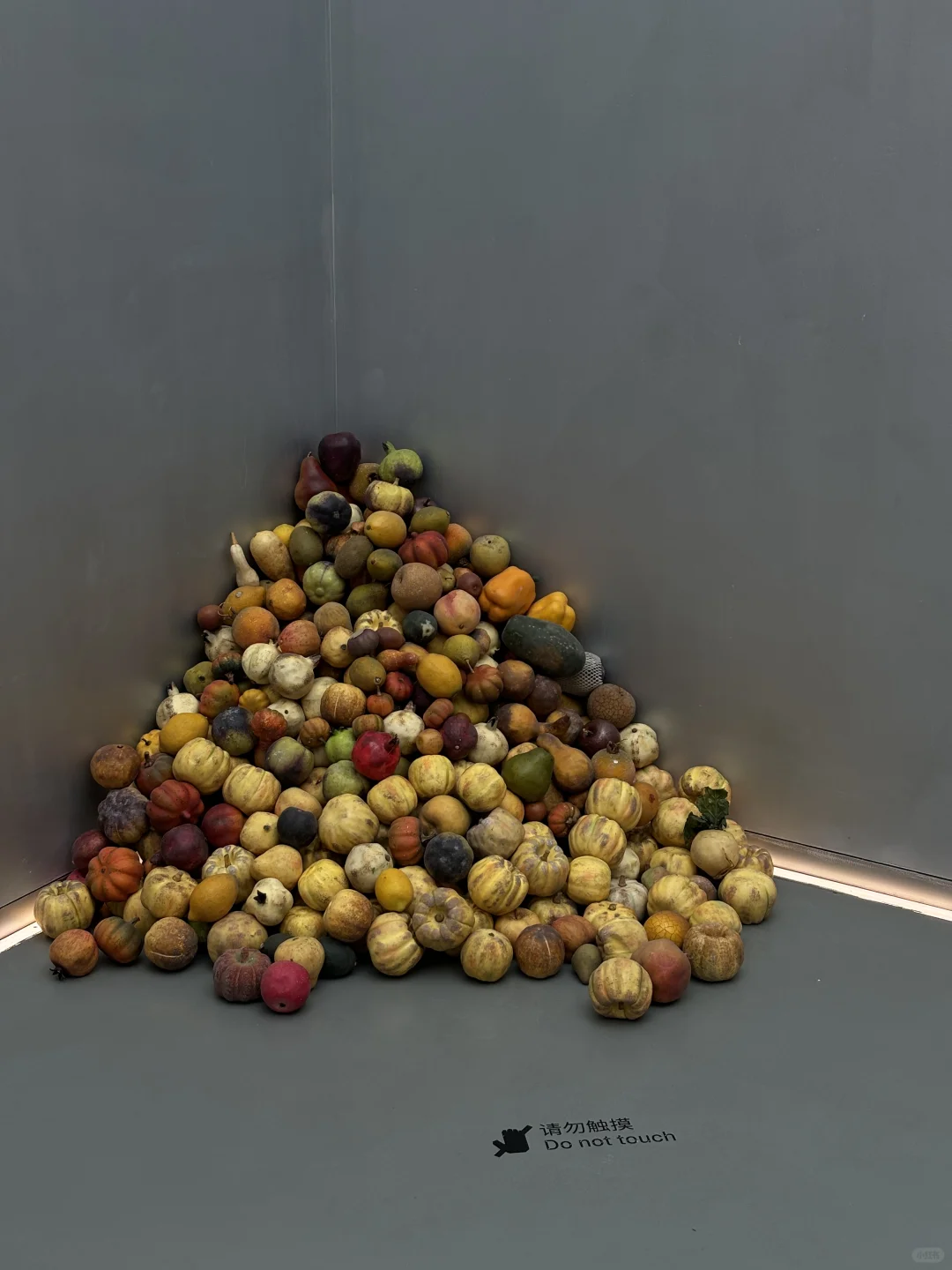 北京新展｜来看玻璃海??