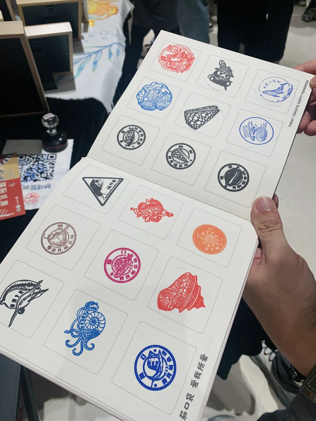 三月郑州贝壳展，看什么，玩什么？