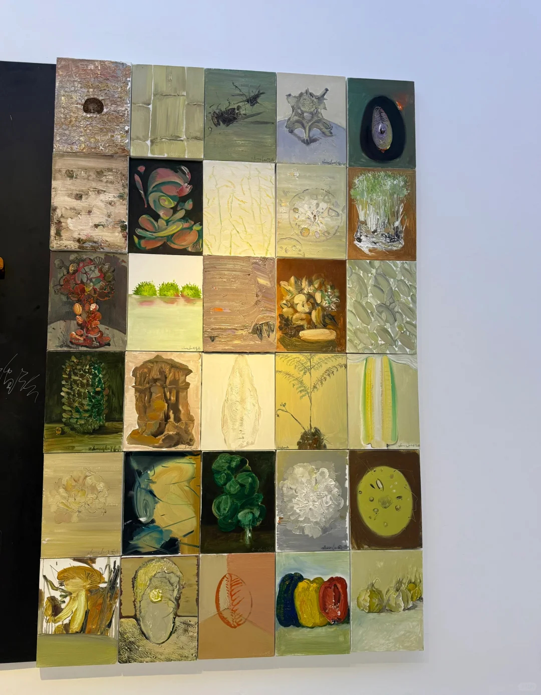 一些特殊、创新的展. 「下」?️⚙️