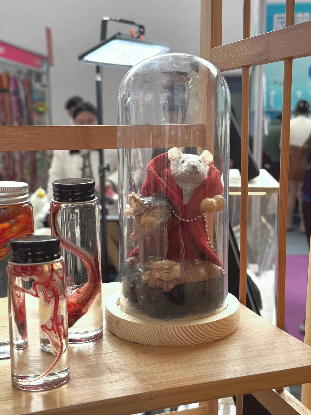 去了趟京宠展，有好多想吐槽的。