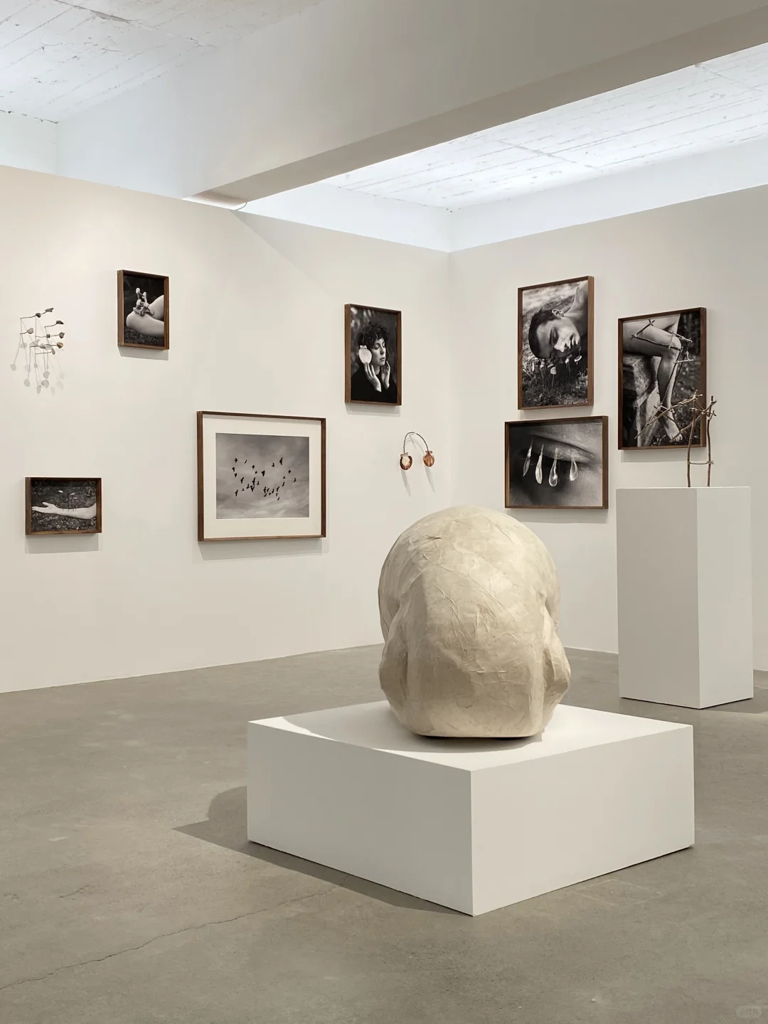 看摄影展洗眼睛