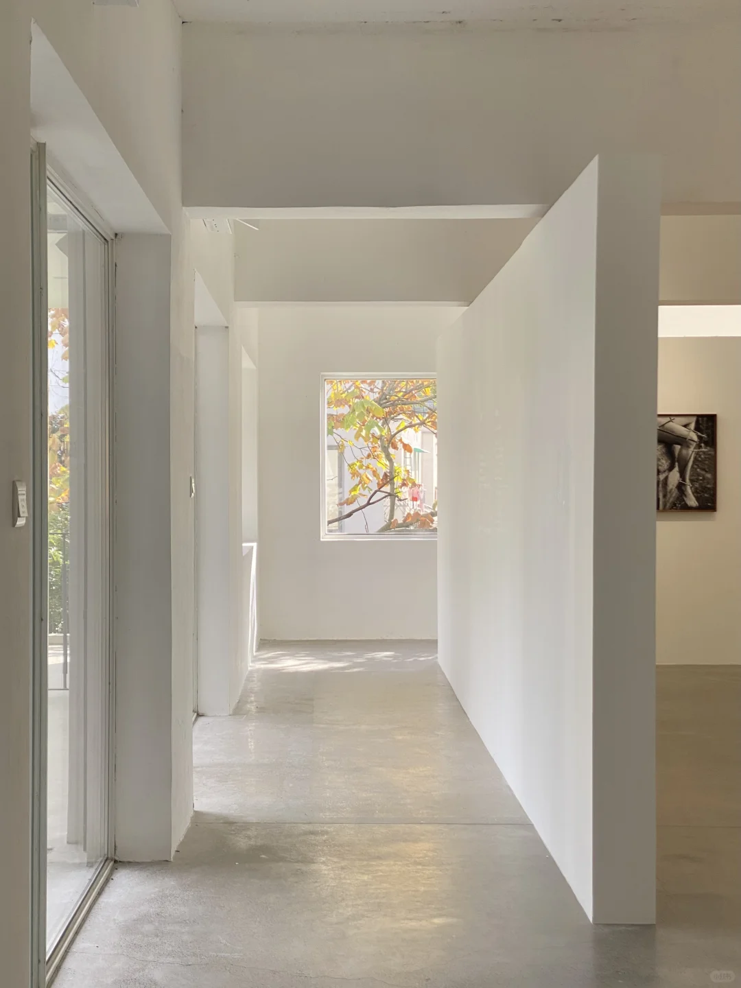 看摄影展洗眼睛