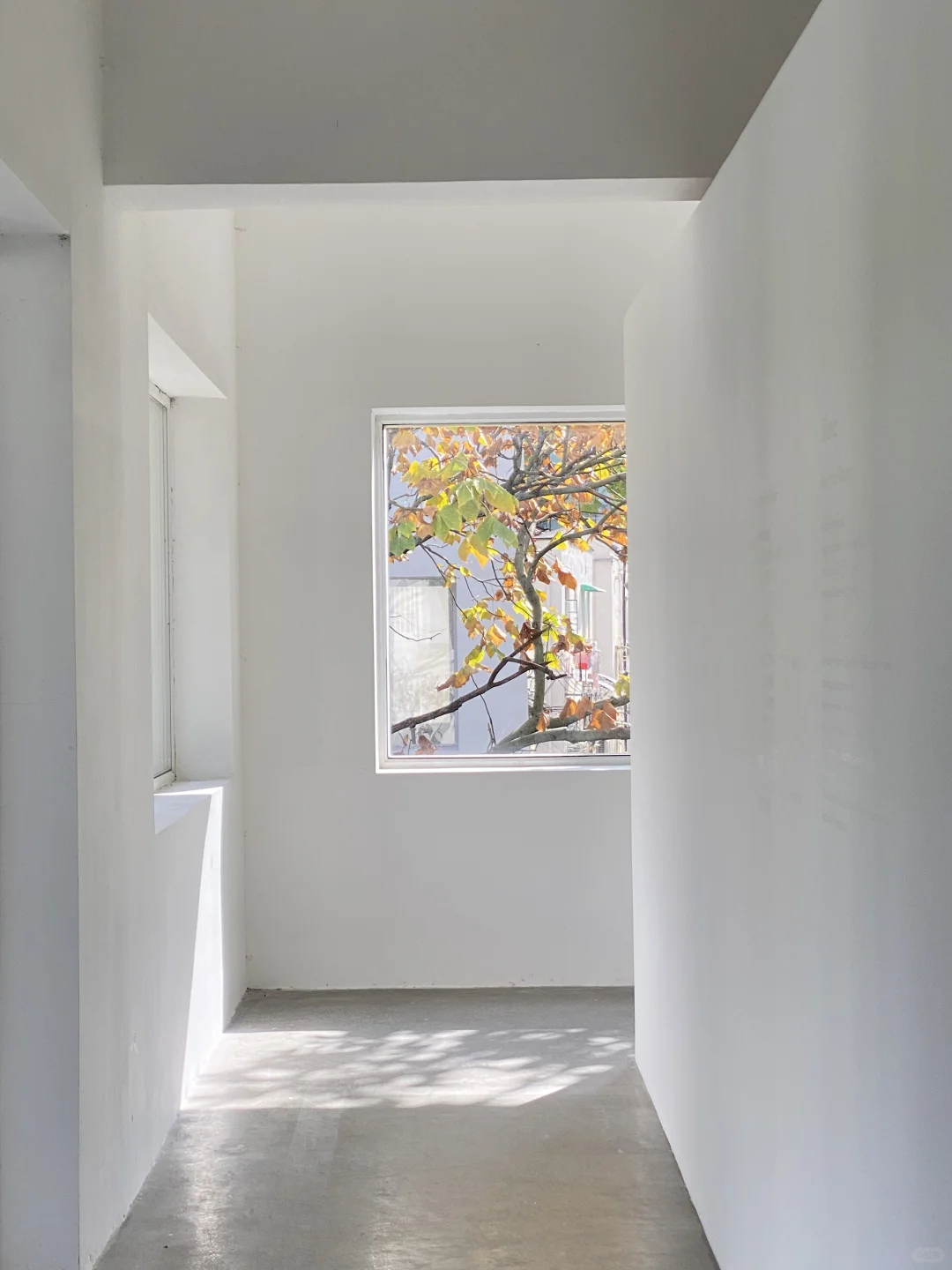 看摄影展洗眼睛