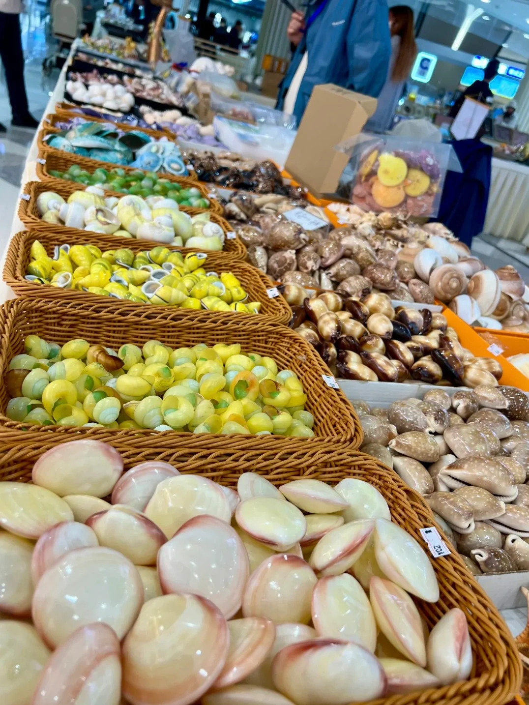 三月郑州贝壳展，攻略来了