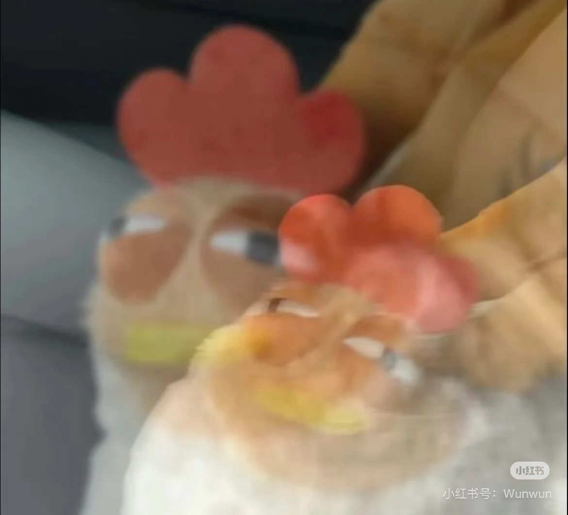 河南专升本会展