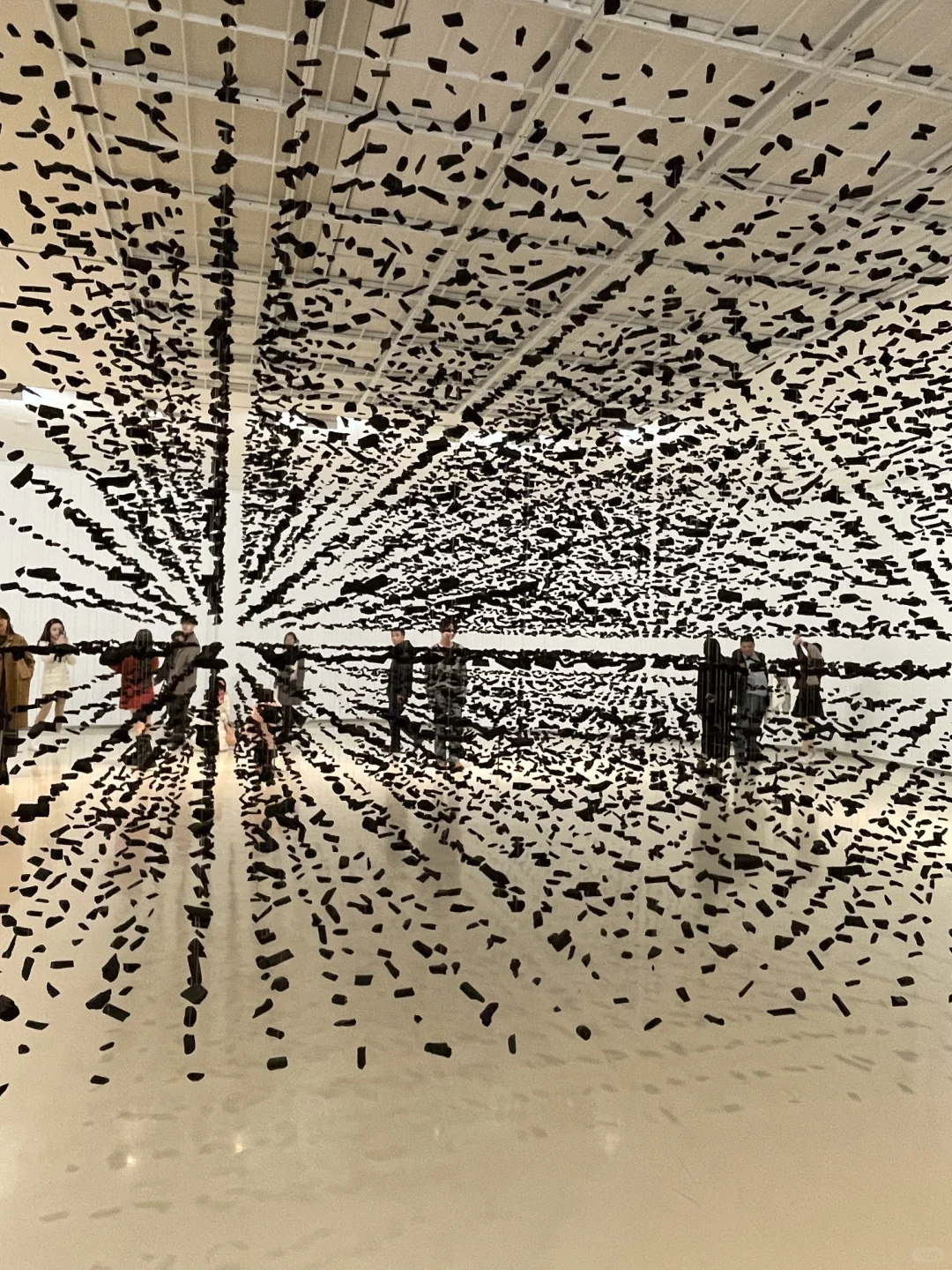 这场展览，真的美炸了！?