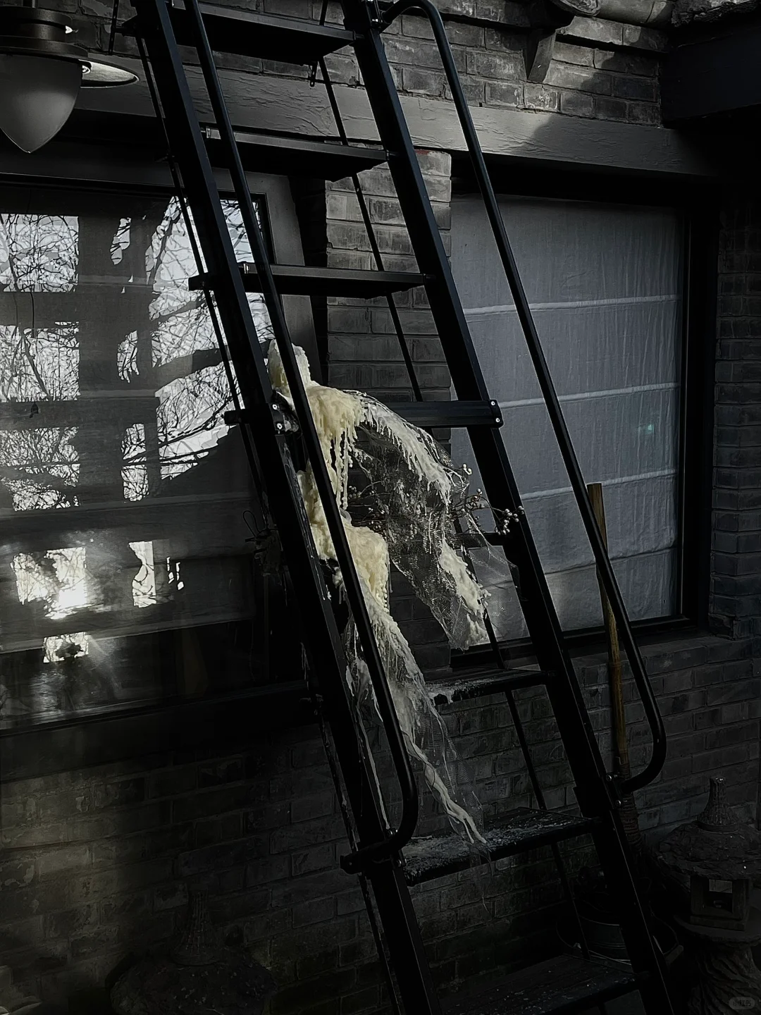 北京免费新展已经美到next level……