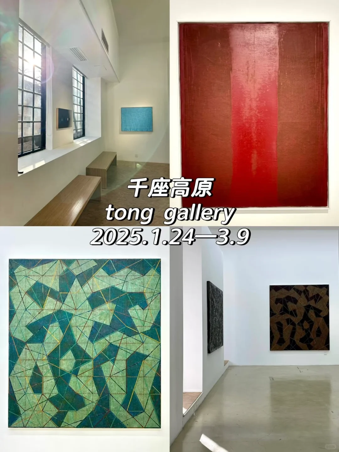 按时交作业❗️798艺术区3月免费展（合集）?️