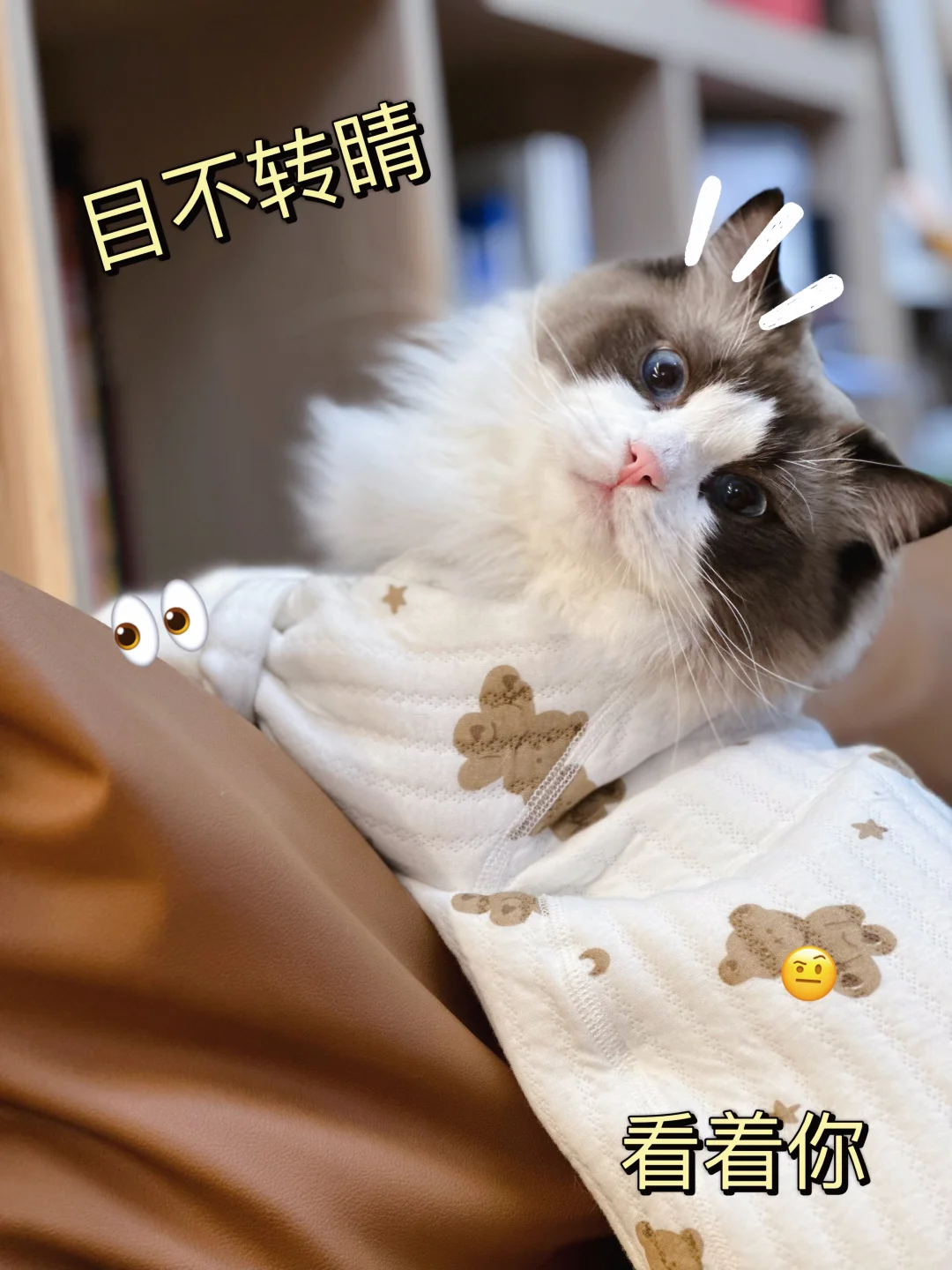 会展设计搭建的销售怎么找客户呀？