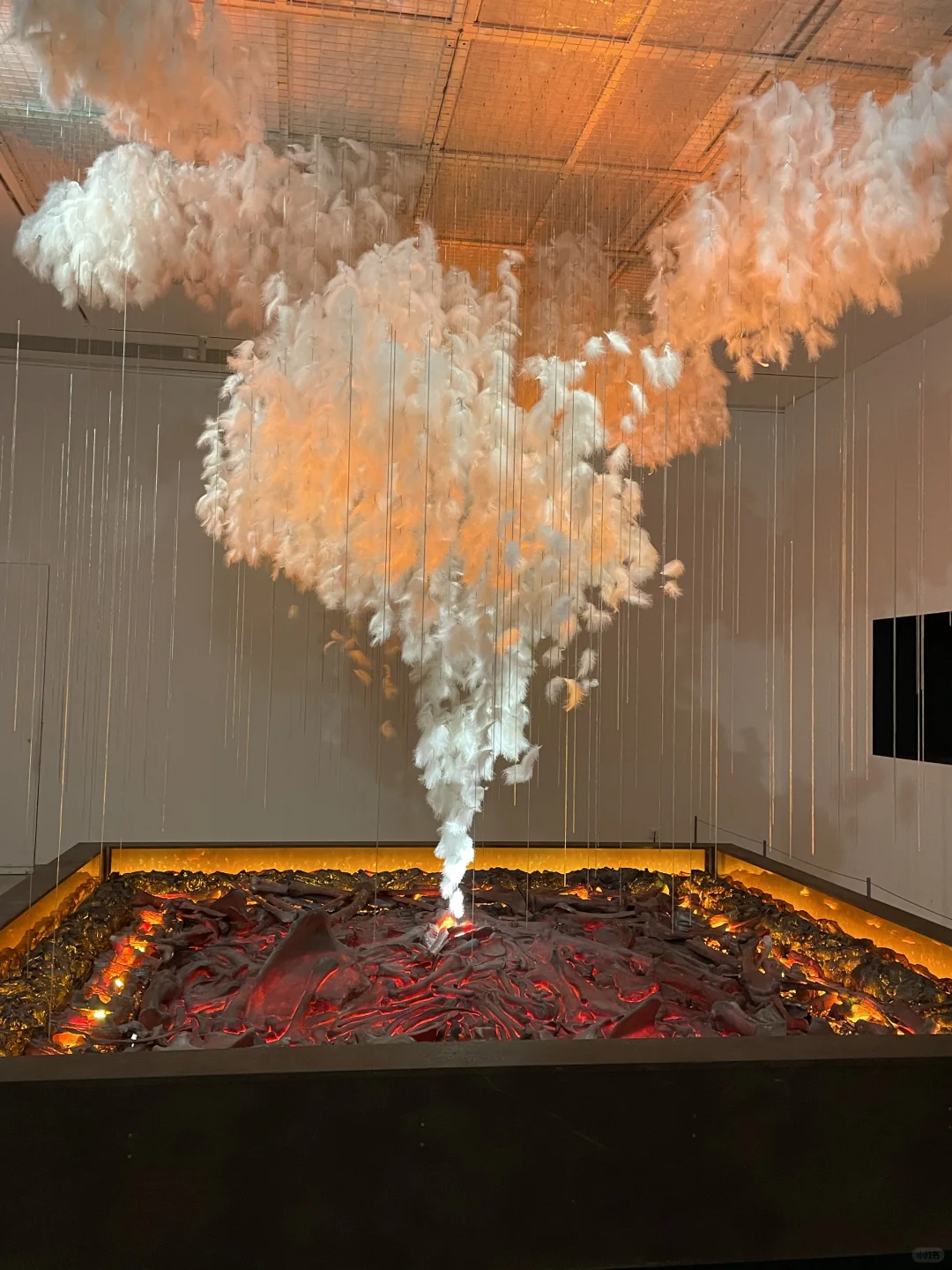 这场展览，真的美炸了！?