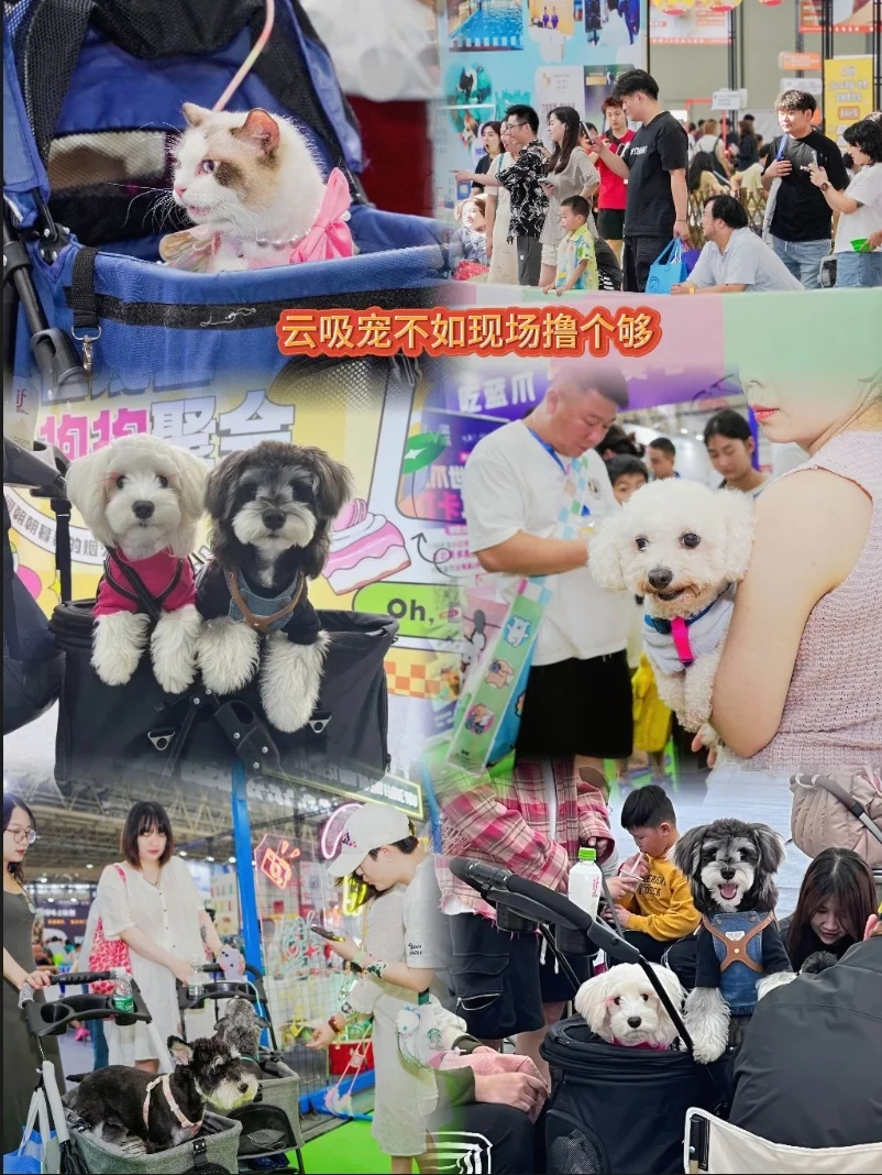 2025石家庄国际宠物供应链博览会