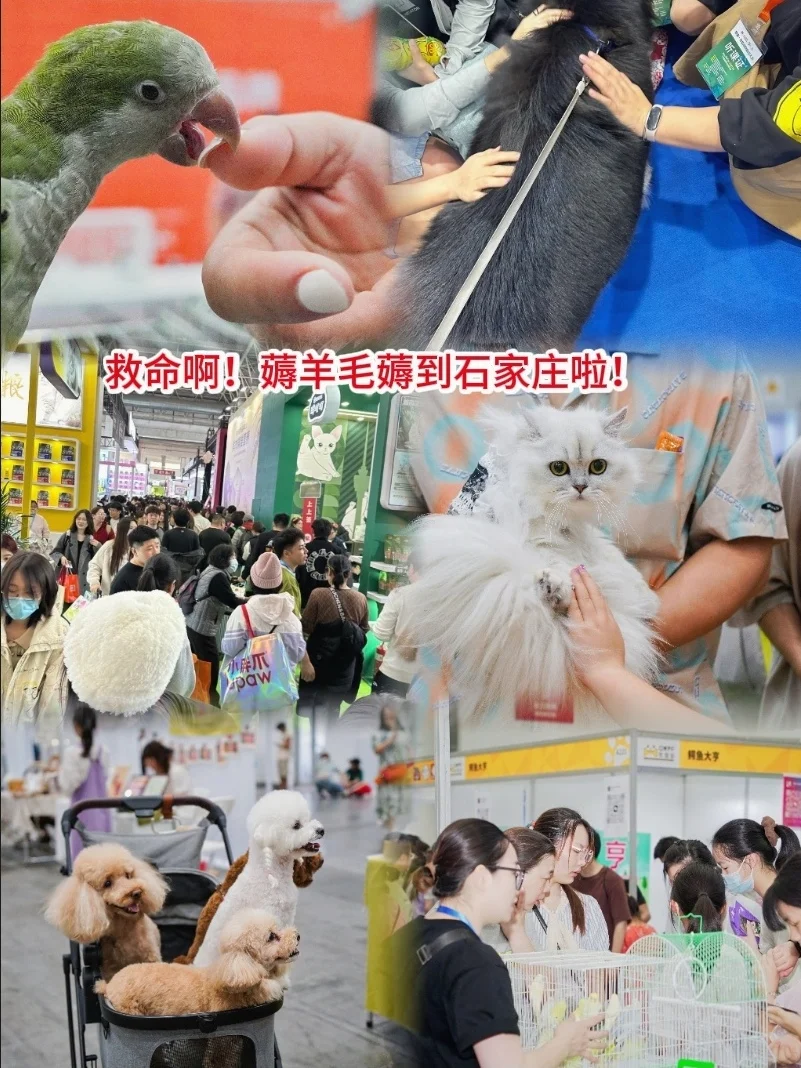 2025石家庄国际宠物供应链博览会