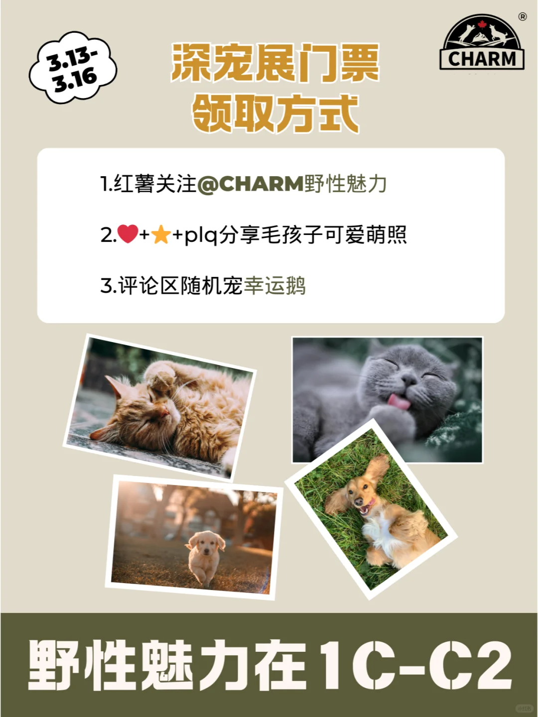 路过的人?可以拿一张深宠展门票??