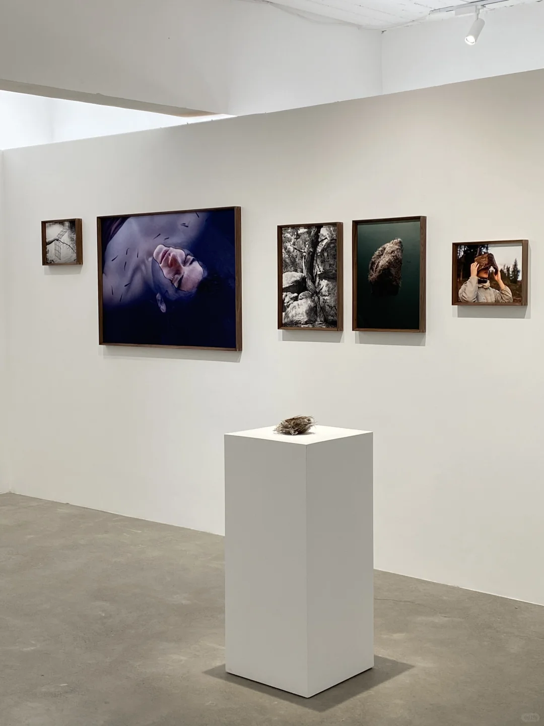 看摄影展洗眼睛