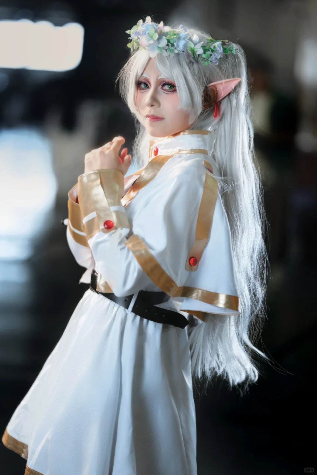 热浪自由行申请求互！！！