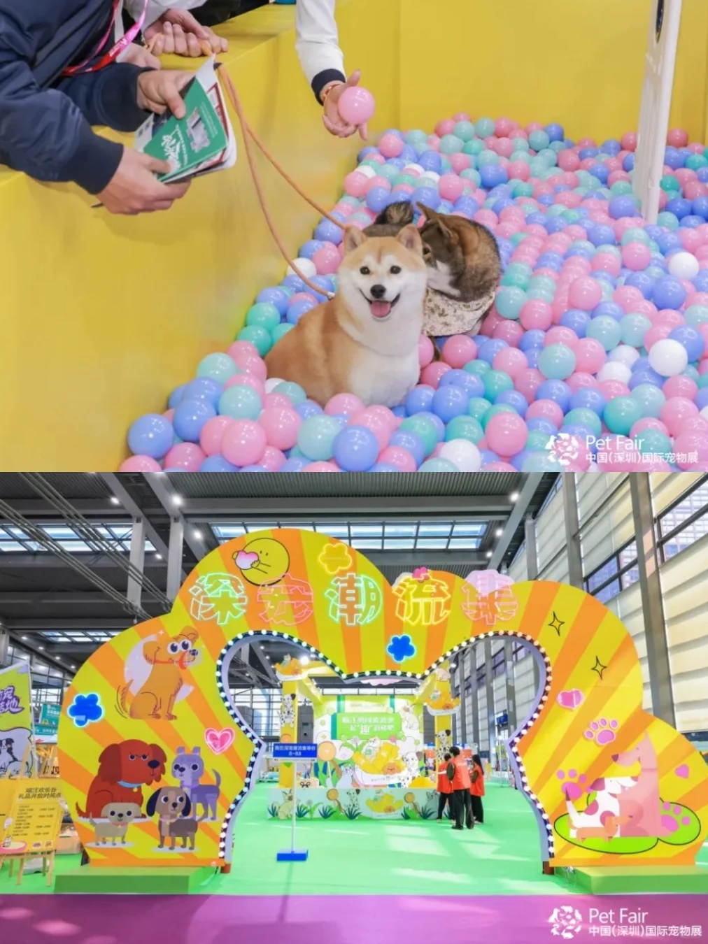 2025深圳宠物展攻略已做好!赶紧抄作业
