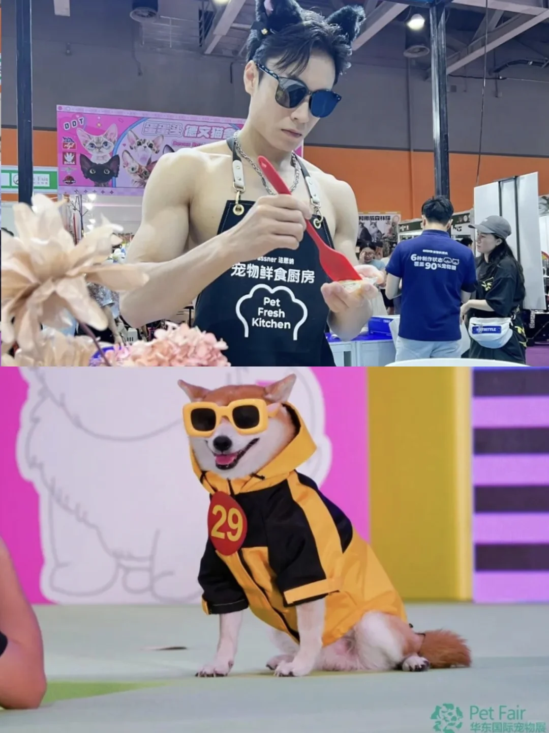 2025深圳宠物展攻略已做好!赶紧抄作业