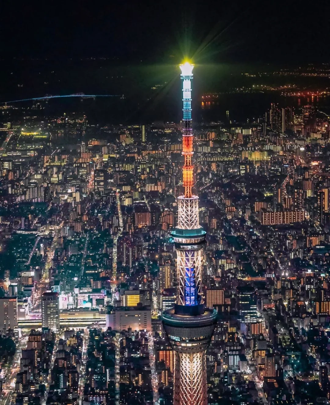 展会｜东京宠物用品展览会下个月开展