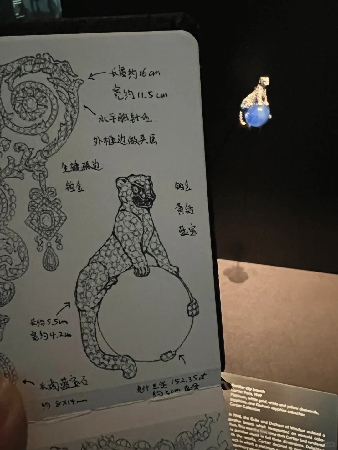 一边卧槽卡地亚展，一边又疯狂吐槽~