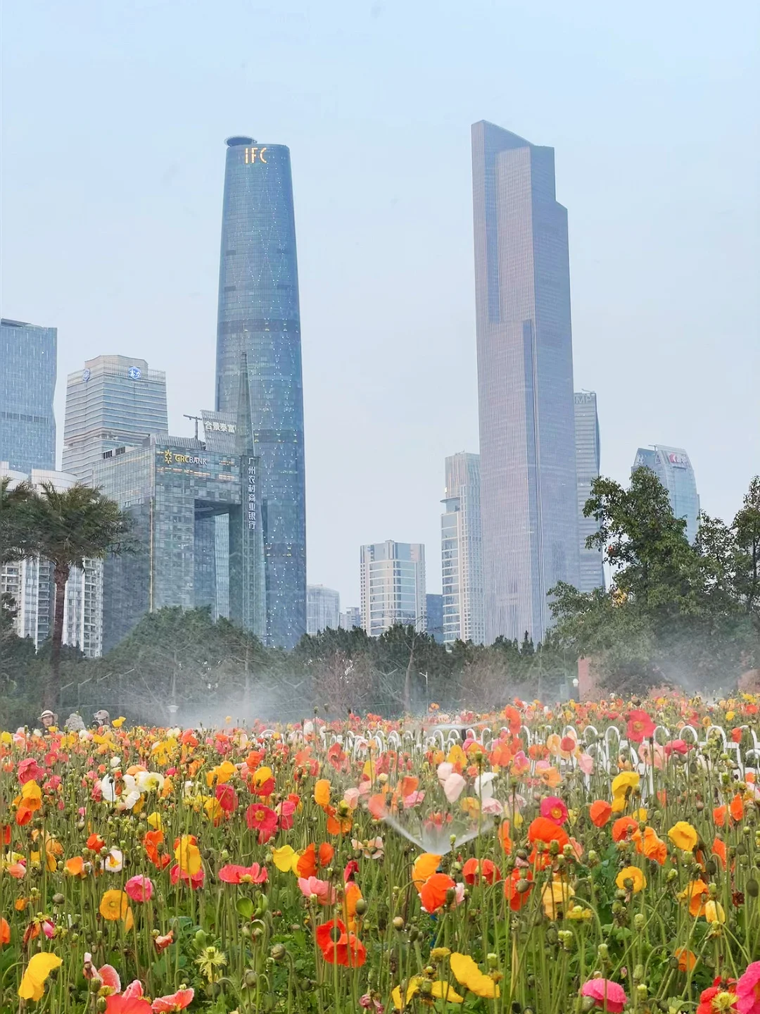 别错过3月广州❗一日游从美博会到广州塔?