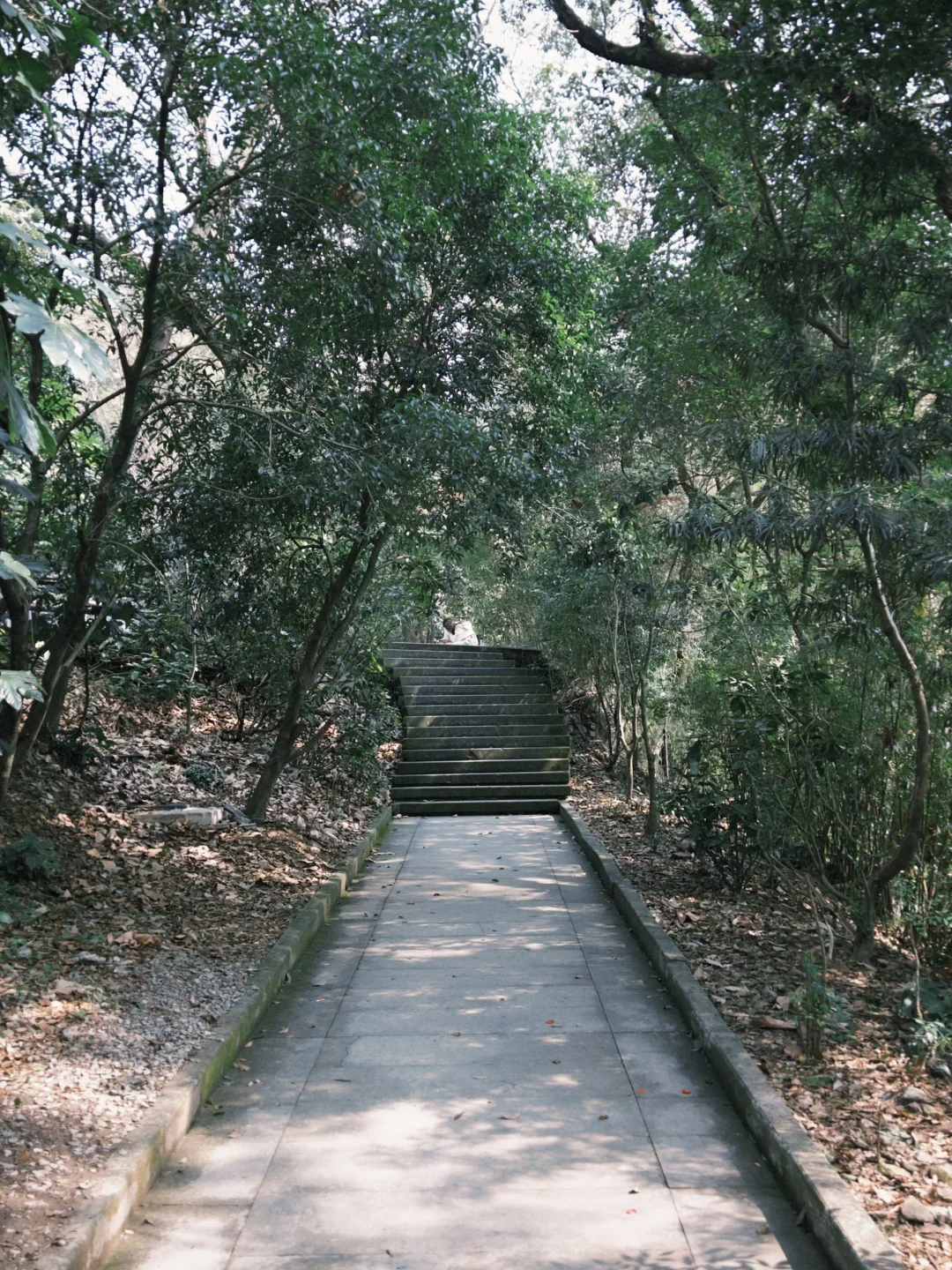 台州椒江丨准备好1TB的胃?