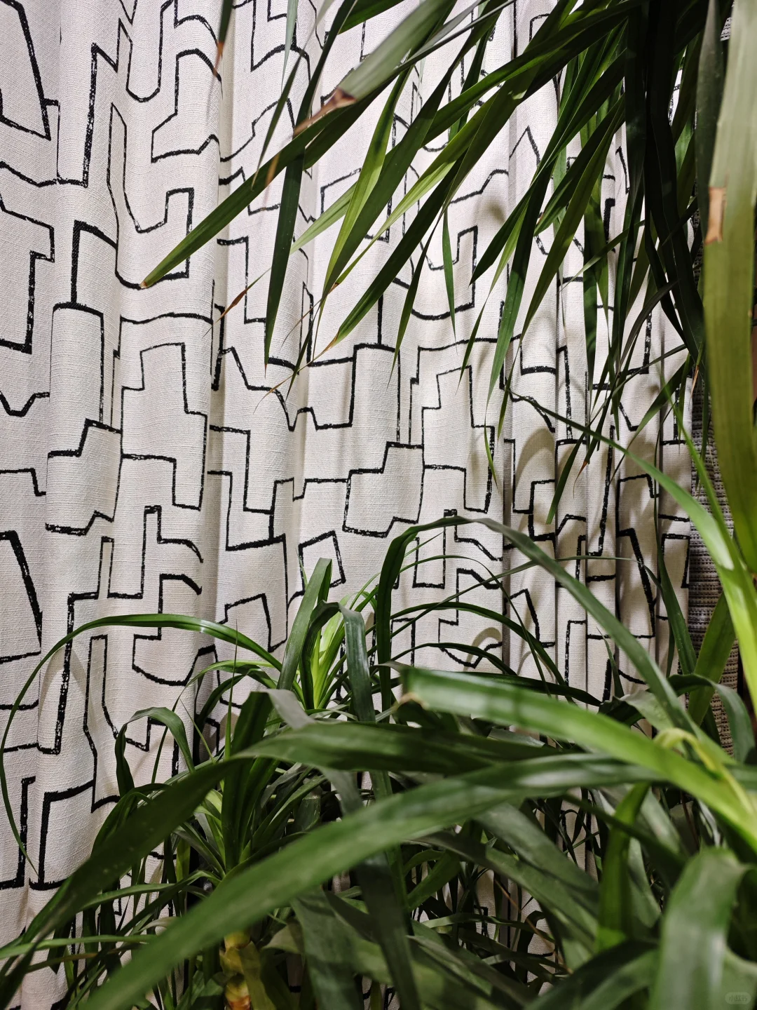 2025年深圳家纺展：从“场景狂欢”到“价值