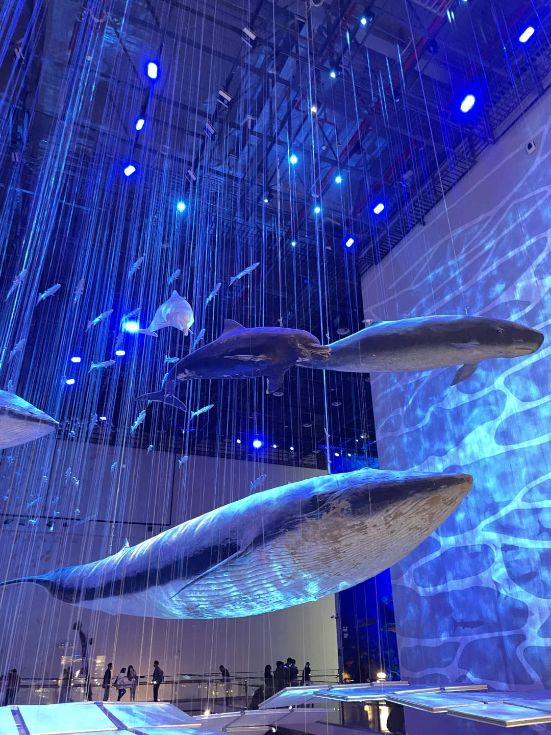 别错过3月广州❗一日游从美博会到广州塔?